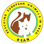 Rescuing European Animals in Need