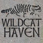 Wildcat Haven CIC