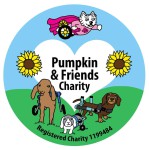 Pumpkin and friends charity