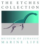 The Kimmeridge Trust