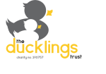 The Ducklings Trust