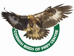 Cornish Birds of Prey CIC