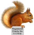 Penrith & District Red Squirrel Group (P&DRSG)