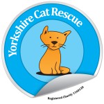 Yorkshire Cat Rescue