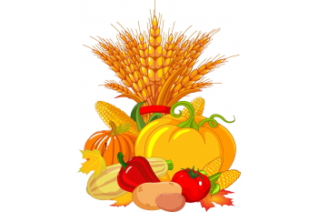 Harvest Collection