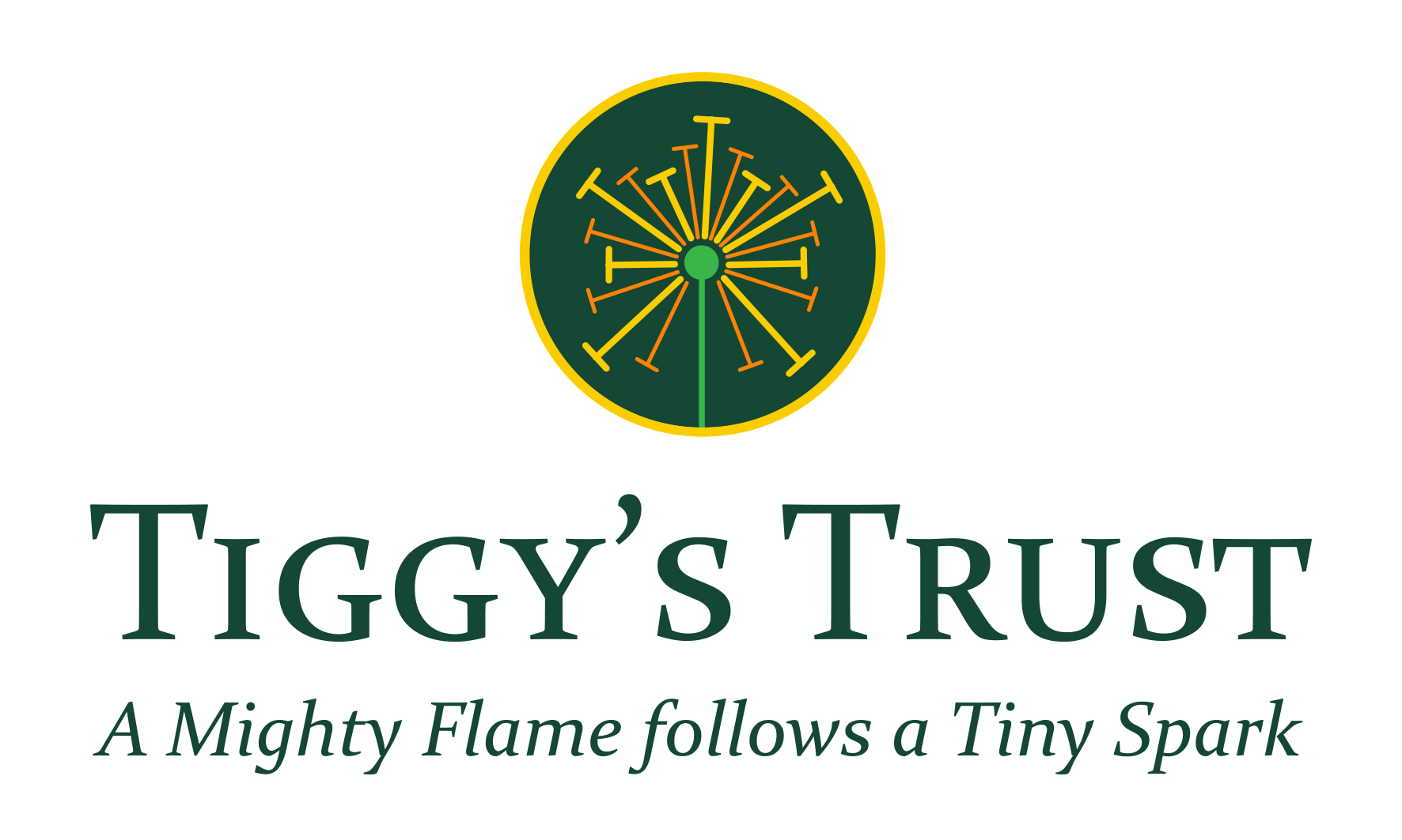 Tiggy Hancock Trust CLG logo