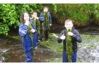 The Green Team