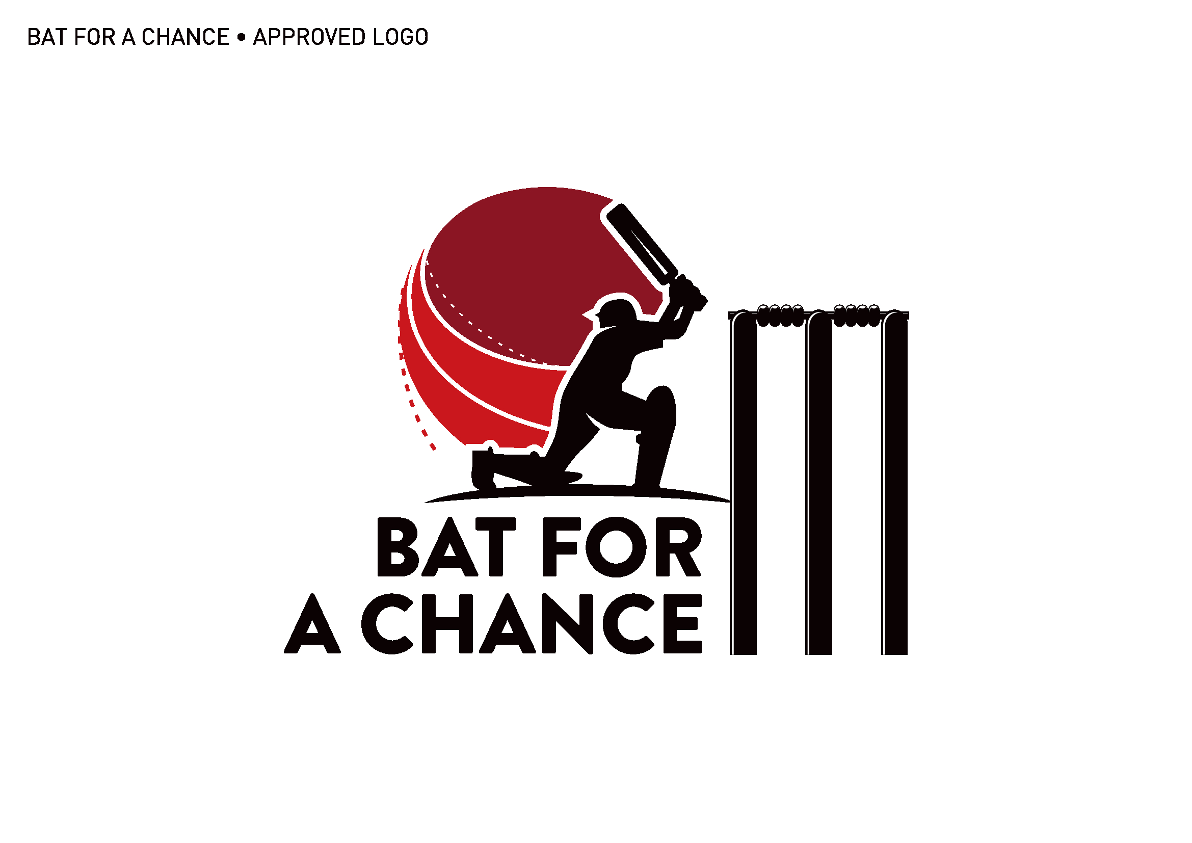 Bat For A Chance logo