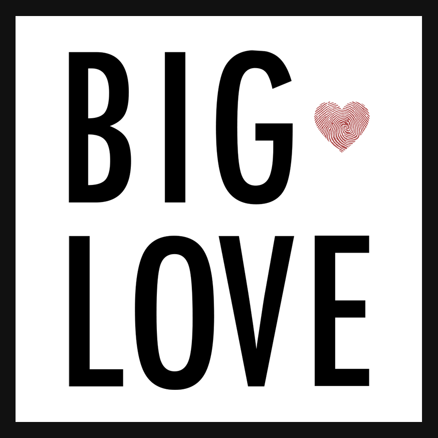Big Love Charity logo