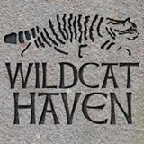 Wildcat Haven CIC logo