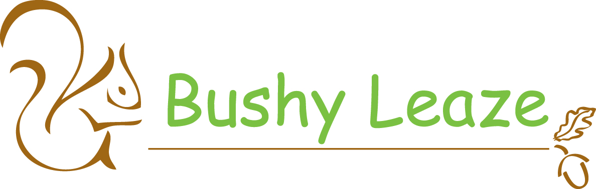 Bushy Leaze Children and Families Centre logo