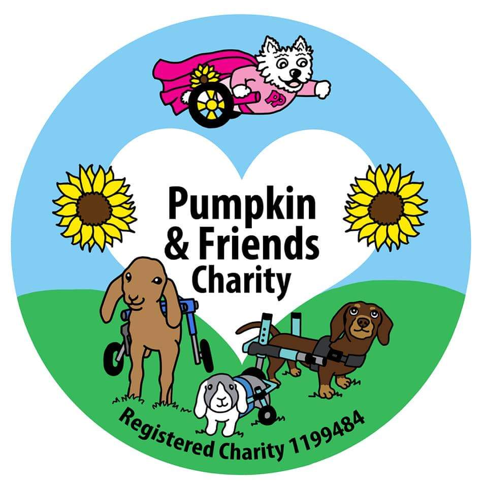 Pumpkin and friends charity logo