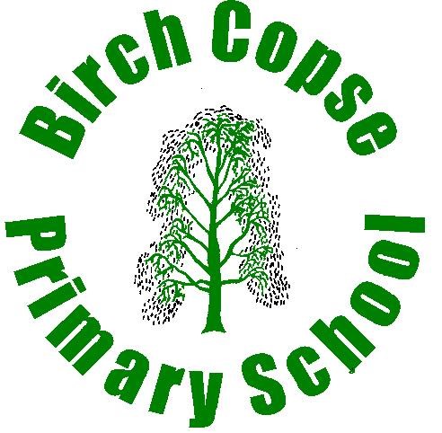 BIRCH COPSE SCHOOL PTA logo