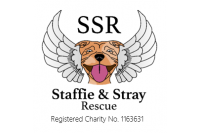 Staffie and Stray Rescue