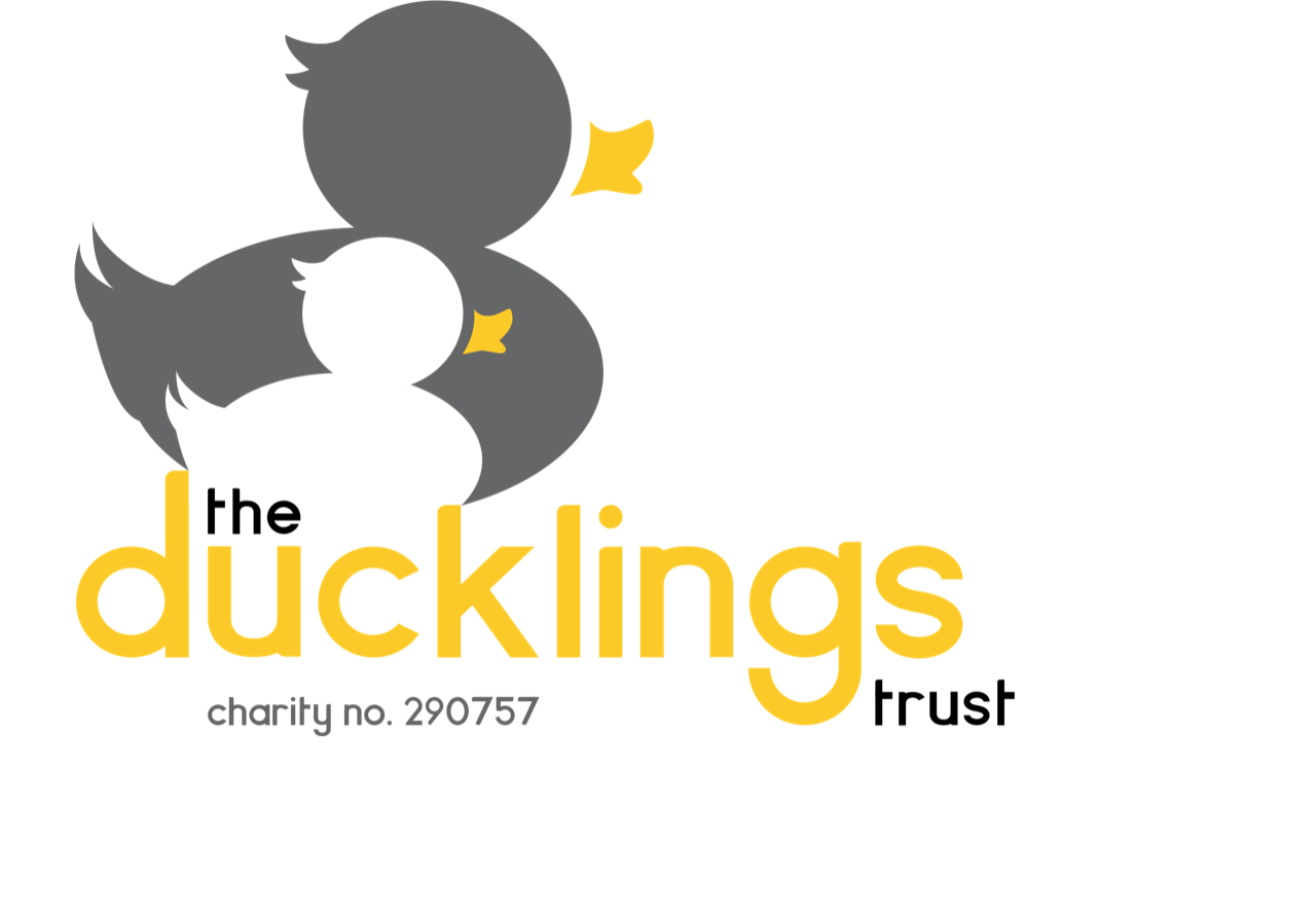 The Ducklings Trust logo