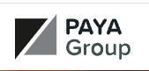 PAYA Aylin's Charity logo