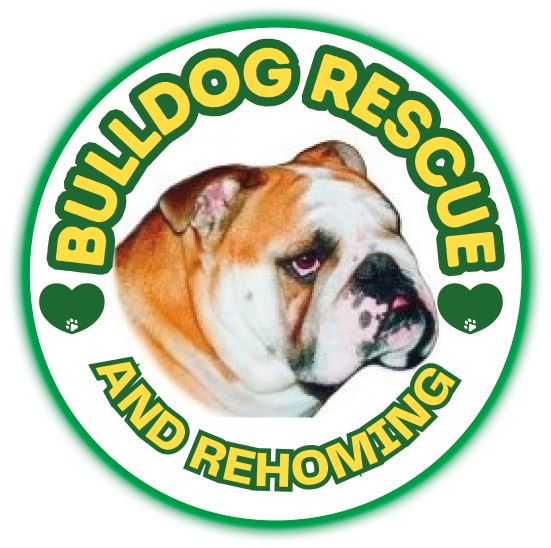 Bulldog Rescue and Rehoming UK logo