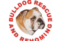 Bulldog Rescue and Rehoming UK