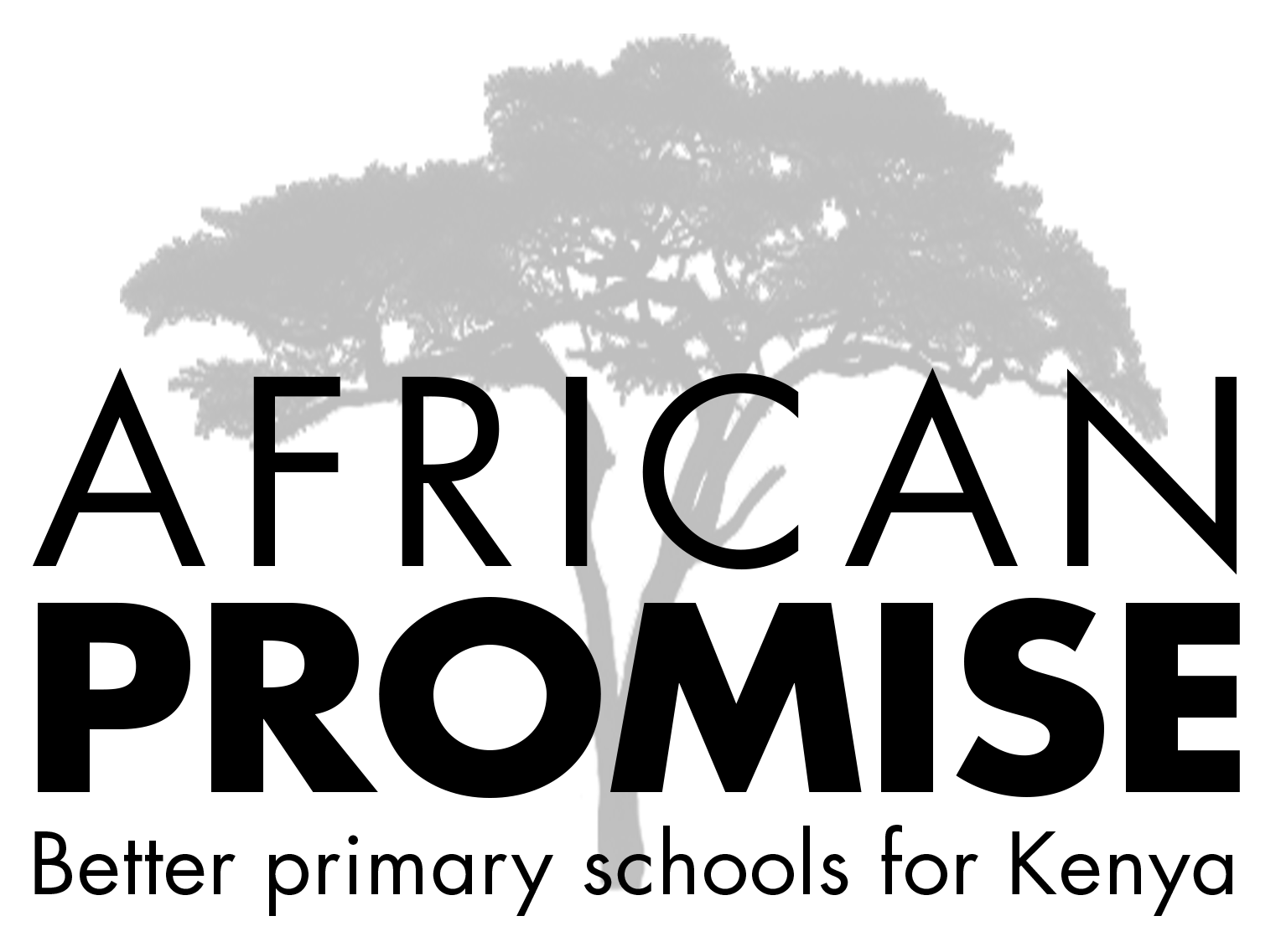 African Promise logo