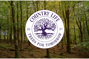 Forestry England