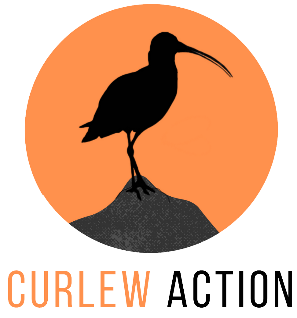 Curlew Action logo