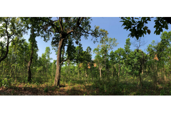 The Gurkha Memorial Forest