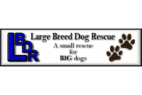 Large Breed Dog Rescue