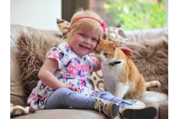 Help for Ella