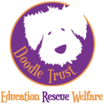 Doodle Trust logo