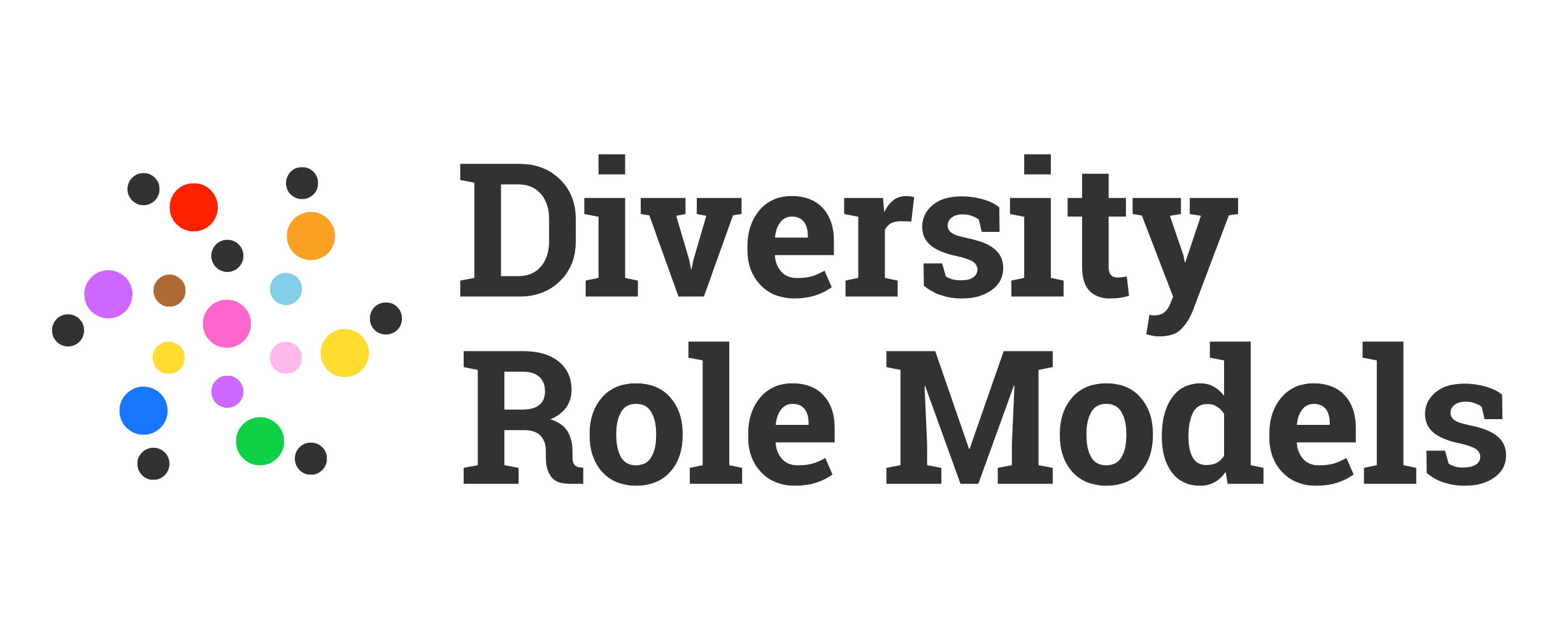 Diversity Role Models logo