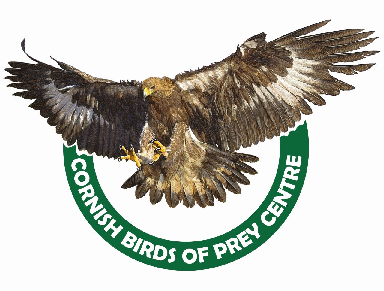 Cornish Birds of Prey CIC logo