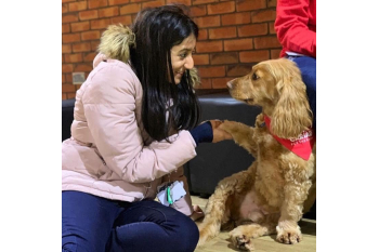 Cariad Pet Therapy
