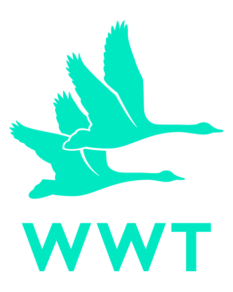 The Wildfowl & Wetlands Trust logo